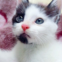 ������Щ��