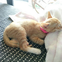 �Ҽҵ�����