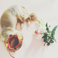 �Լ����ָ�15�����ë�ĵ�����������