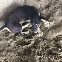 ���Ƽ��������Ѻ����ĳ���ҽԺ����������¥