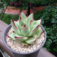 �����ˣ��������ѹ��ļ������ˣ�����⻹����