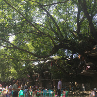 ��������١�������ĩ֮ƫ����ˮ