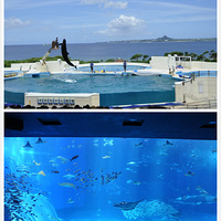 ��һ��˵�˺ܾö�û�߳ɵ�����~~�����μ�