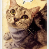 �ҼҴ�ү�Ķ��Ʊ��������ʱû��ҩ����ʱ��