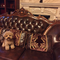 �������ؼҰ� ���� ����Ѱ��