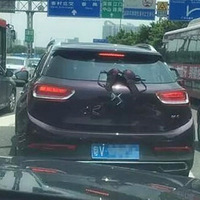 ŻøԼĳ֣