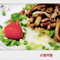 �����������С���ع���ɹɹ�ֻ���ļҳ��ˡ�