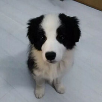 ���Ҽұ���Ҳ����¶һ������������