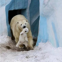 ���︸ĸ����������������Ļ���