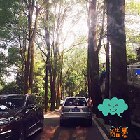 ��������١���������Ѱ��һ˿������