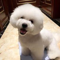 �����˸��������� �ܽ�����ĺ���Ʒ��