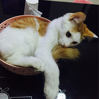 �������è������