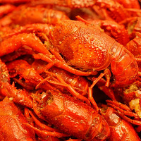 ���С��Ϻ���� ���óԿ��Ժ���ȥ��æ��