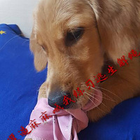 ��ϰ3���������