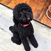 �ҼҾ޹���������