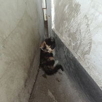 һ����������������������Ѿ��ͳ�ȥ�ˡ�лл��ҹ���