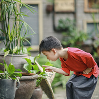 ��������١����ߵ�С����