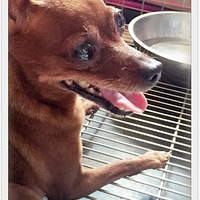 �����ȥ�����ˣ���������һ��İ�����̼Ҽ�