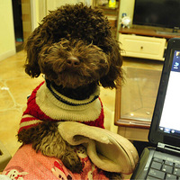 ��ů�е�����˧��