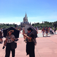 ��������١������� �Ӷ����浽����