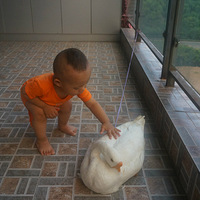 35��C�����µ���̬ũҵ������