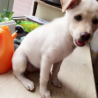 ���´�С����Ѱ������