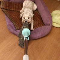 ��֪�����ϰѣ��㵹���ϵ�ѽ��