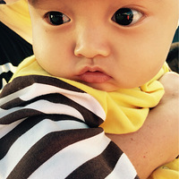 ���ɳ���һ���Ҹ�������.