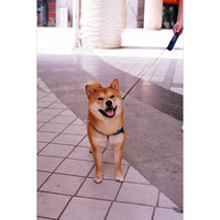 �����Ȯ����ĵ�Σ����ϸ���-��Ȯ֪ʶ�ռ���