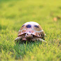 ���ڹ꣬��������