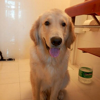 ��������ëDD���˸��´�