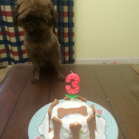 �Ű�����������