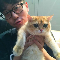 ����������VS���齩Ӳ��