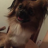 ��������������