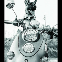 ������椶��ɳ��ռ�