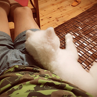 ������è�������ǹ�