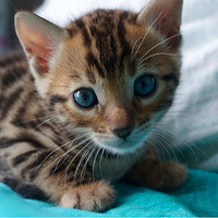 С������������