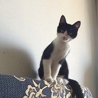 ����˵�������˴���ȥ�������尢����û�к�