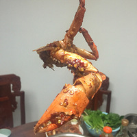 ��ô�ȵ���������һ�����з�ɺá�+��8��ɹ��ʳӮ������