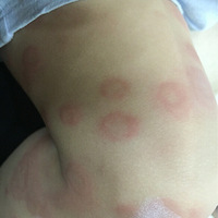 ����λ����֪���Ҽ�С�����ǳ���ʲô������