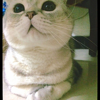 һ��������أ������ҵı���