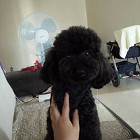 ��û�а���������ģ�ϲ��������