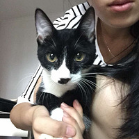 �ĸ��´�С������������������Ľ�������С����Ӵ��