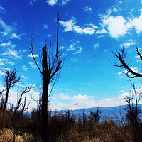 ��Ƥ��һ��ȥ�绨ѩ��~