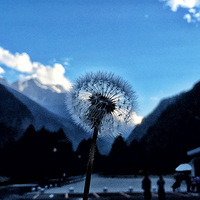 ��������١�5�꣬35�꣬65���Ů˾�������Լ���