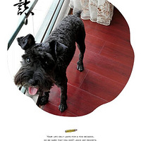 ���ڵ�����ѩ���𣬳�Գ�Եġ�