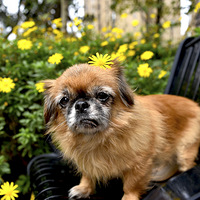 ���������˹� ��10���� ���ݵ��� �������� �����ػ��㵽��ʱ