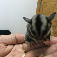 С�һ��Խ��Խ���ˣ�