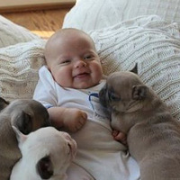 3����СӤ����3ֻ3�ܴ�ķ�����ţȮ