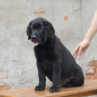 һ��80���˧С���---��������ɳ�֮·